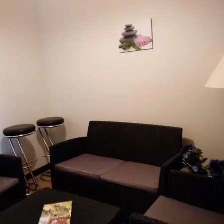 酒店 Relais De Frejeroques 弗萨克